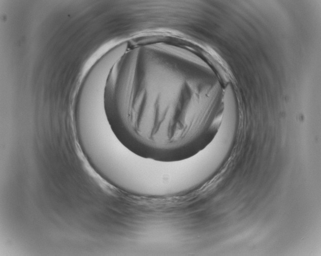 X0000085811054200704131941