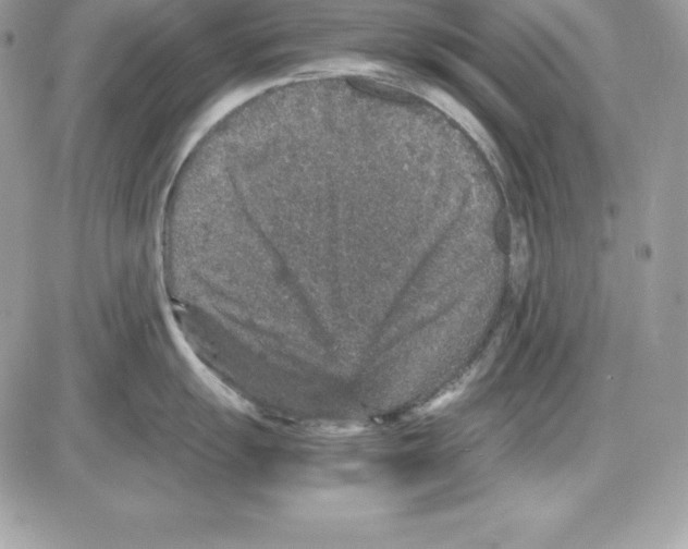 X0000085811055200704131941