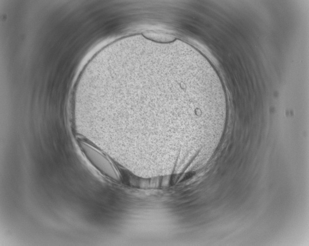 X0000085811056200704131941