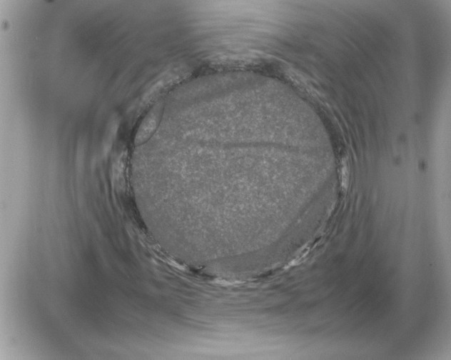 X0000085811059200704131941