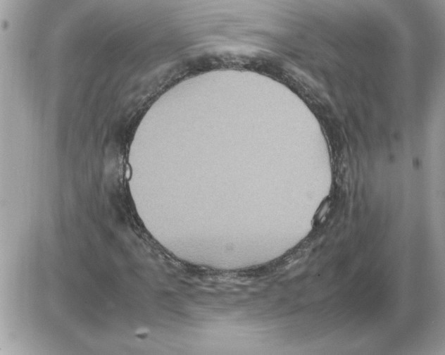 X0000085811061200704131941