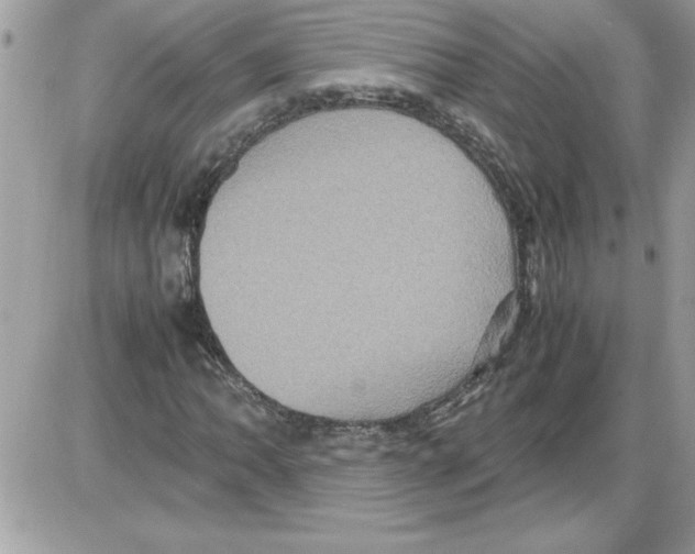 X0000085811062200704131941