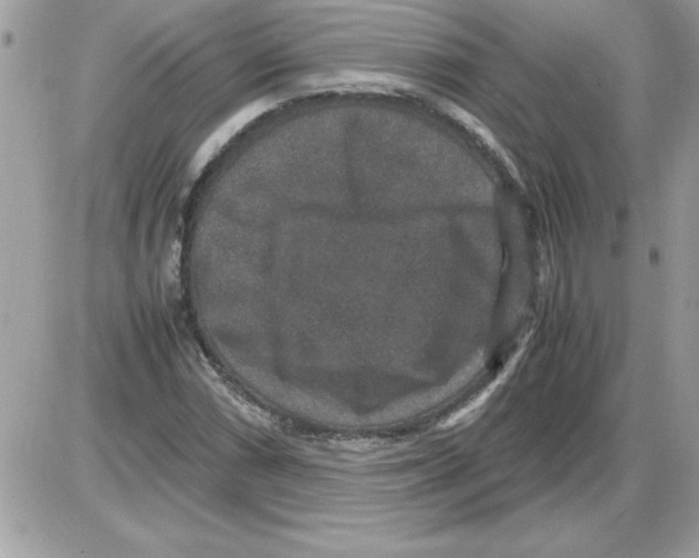 X0000085811066200704131941