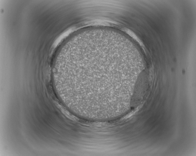 X0000085811067200704131941