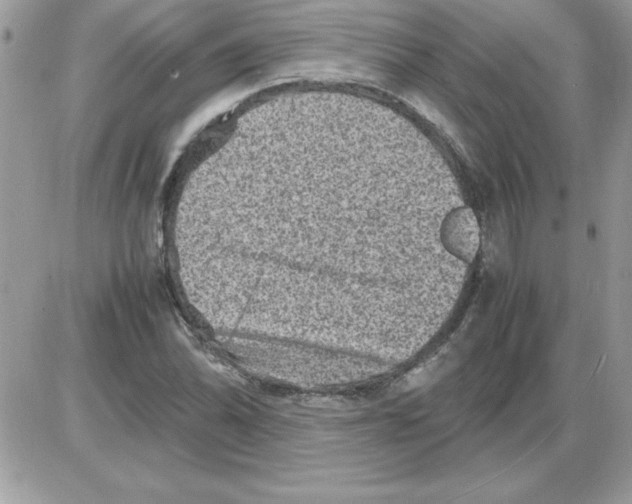 X0000085811070200704131940