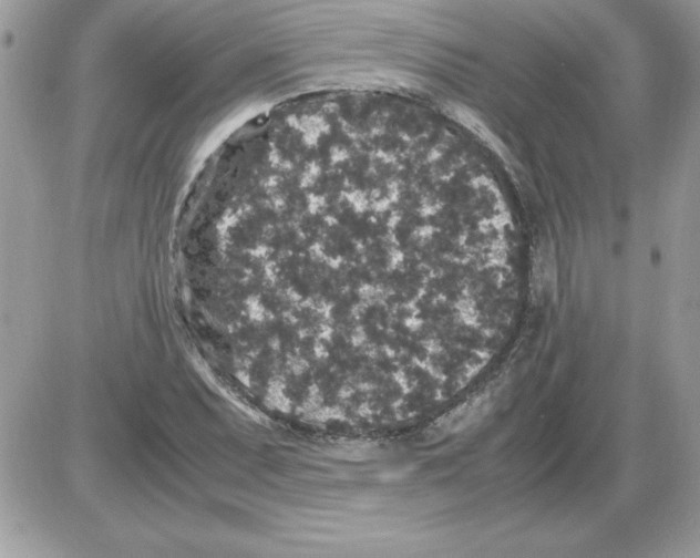 X0000085811071200704131940