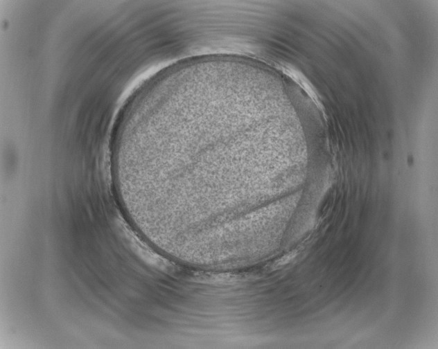 X0000085811072200704131940