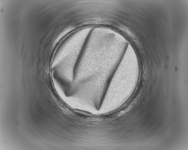 X0000085811073200704131940