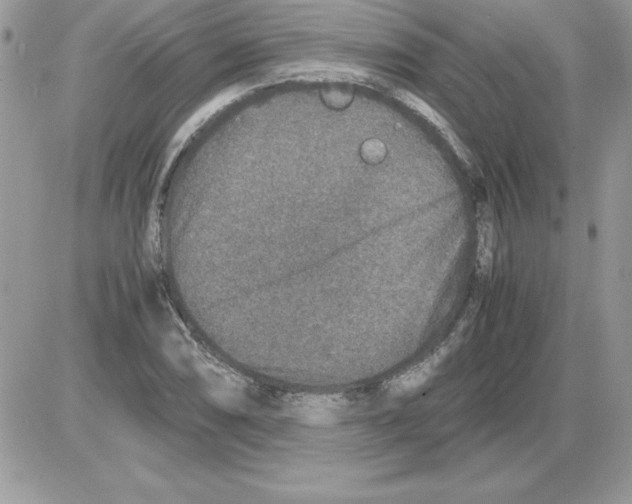 X0000085811074200704131940