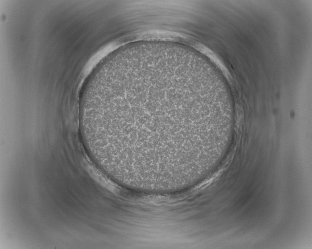 X0000085811075200704131940