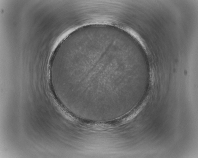 X0000085811077200704131940