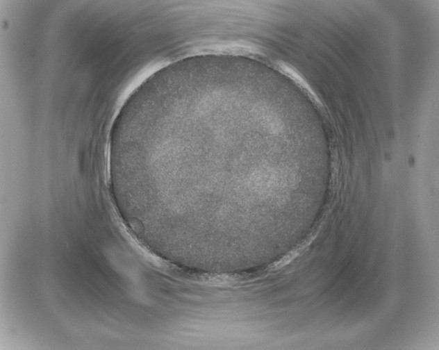 X0000085811079200704131940