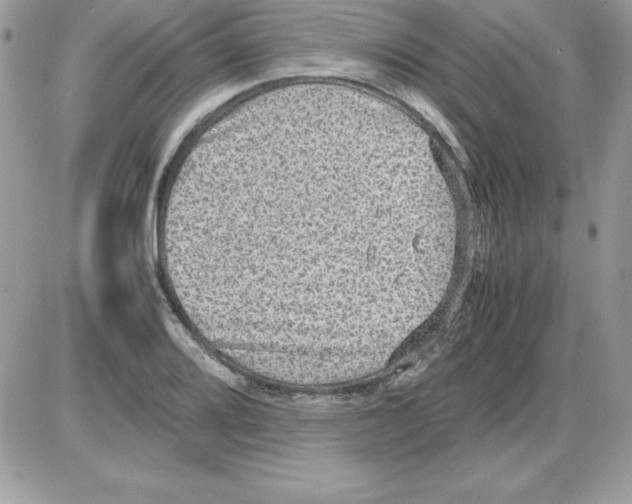 X0000085811080200704131940