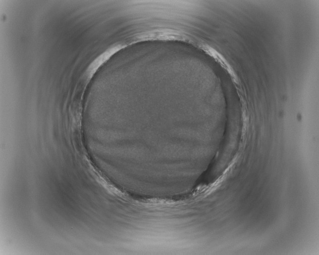 X0000085811081200704131940