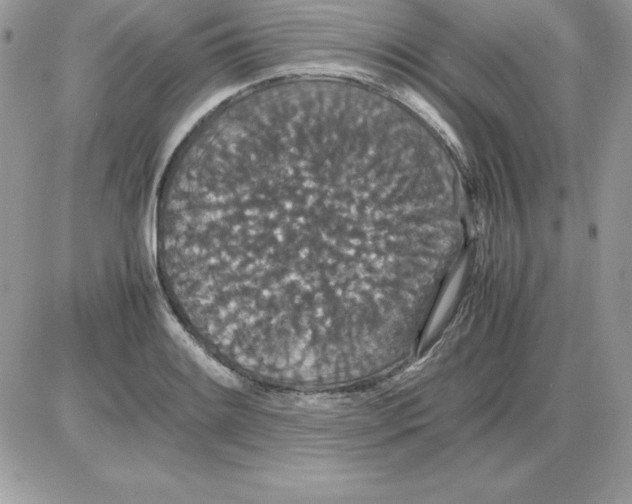 X0000085811084200704131940