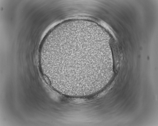 X0000085811085200704131940