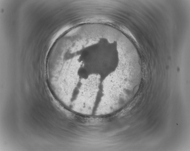 X0000085811087200704131940