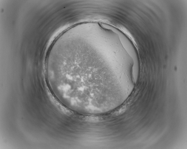 X0000085811088200704131940