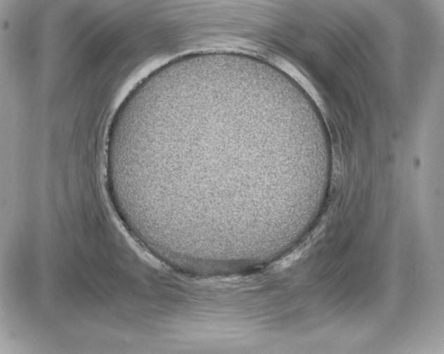 X0000085811093200704131940