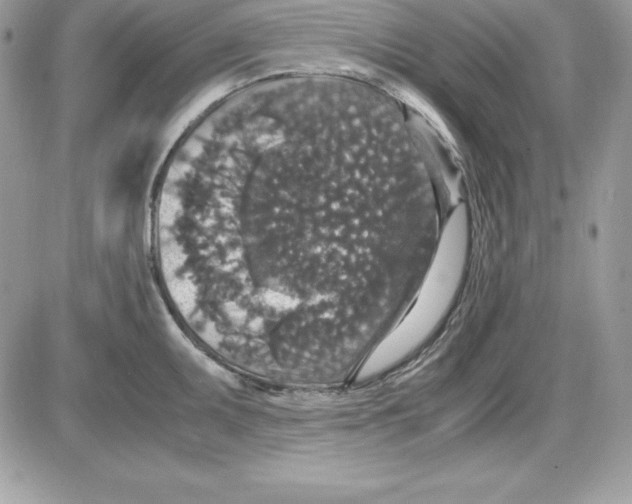 X0000085811095200704131940