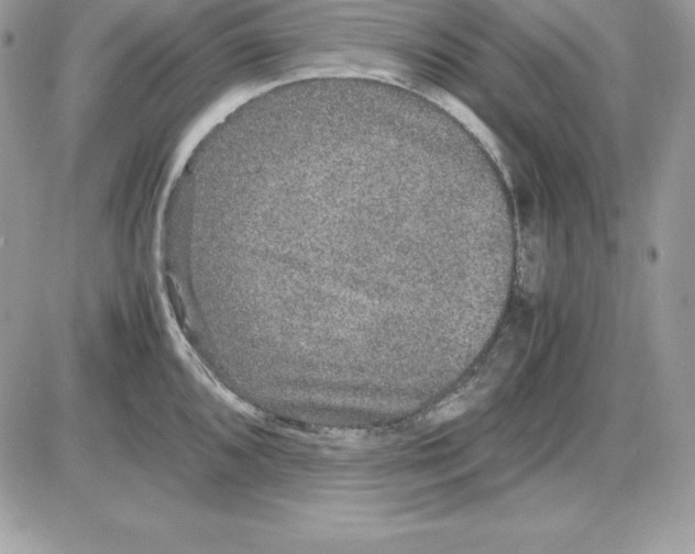 X0000085811096200704131940