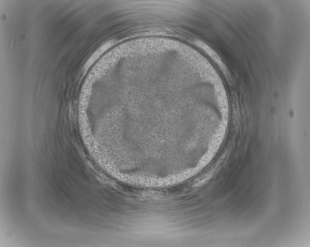 X0000085811097200704131940