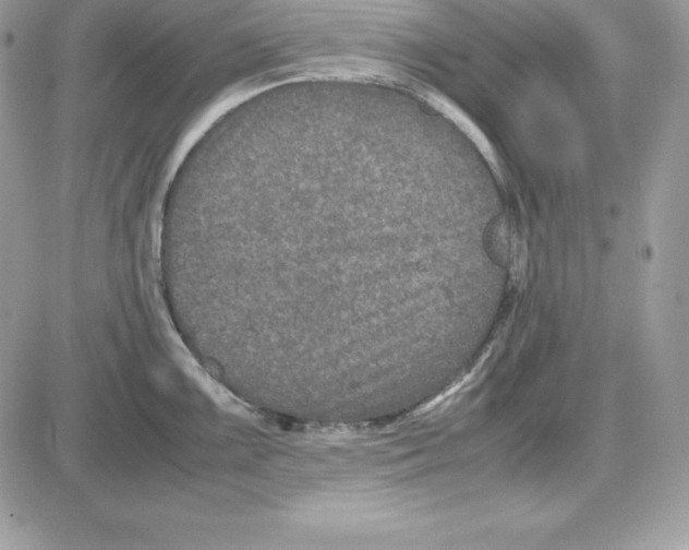 X0000085811099200704131940