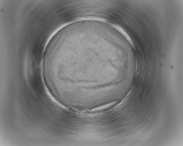 X0000085811100200704131940