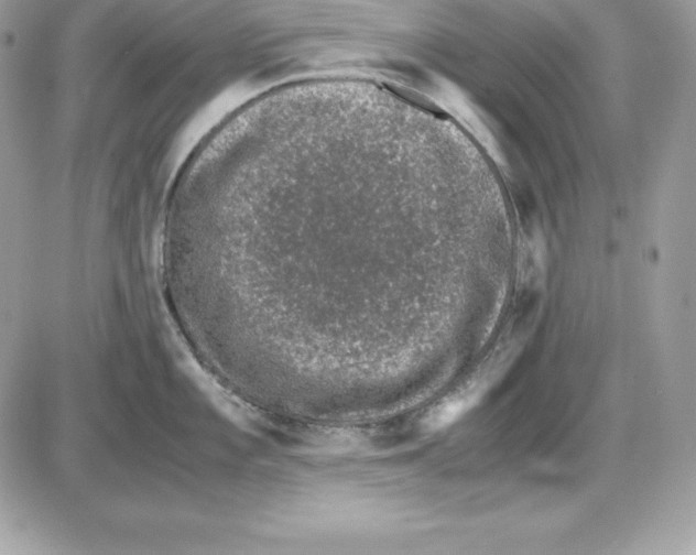 X0000085811101200704131940