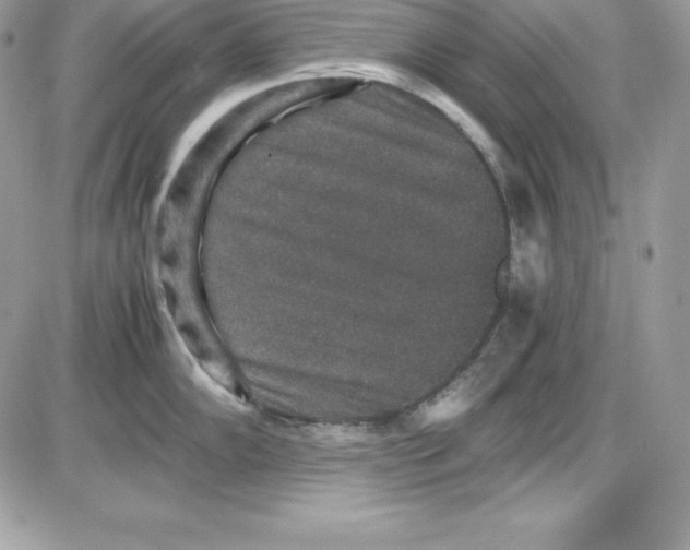 X0000085811102200704131940