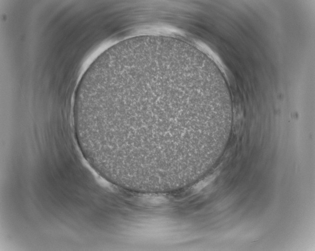 X0000085811103200704131940