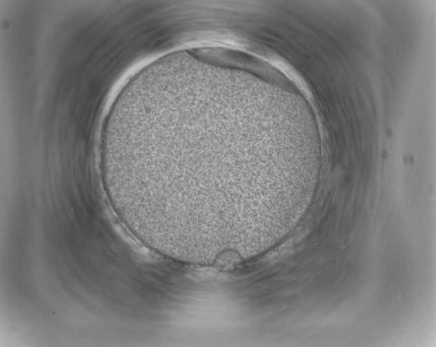 X0000085811104200704131940