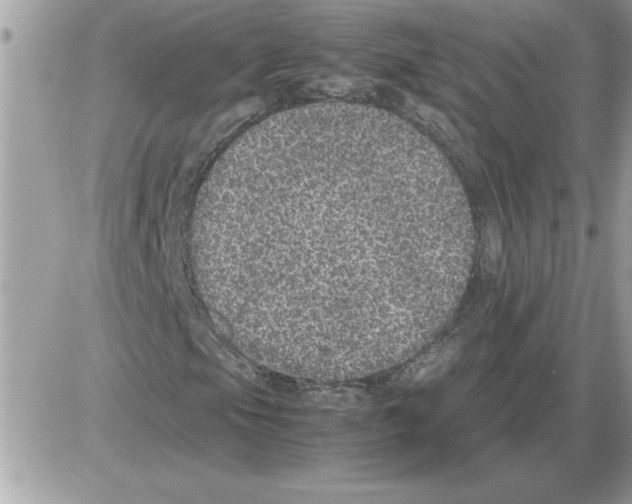 X0000085811105200704131939