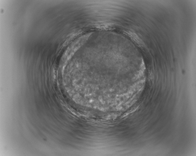 X0000085811106200704131939