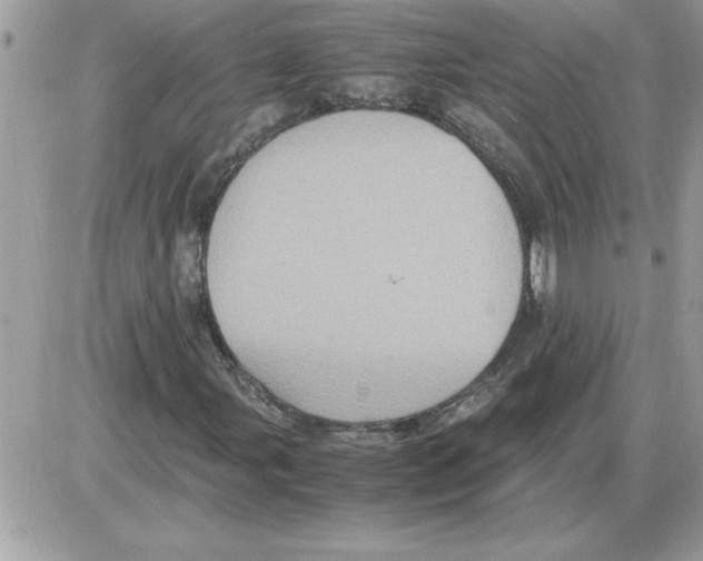 X0000085811107200704131939