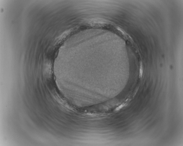 X0000085811108200704131939