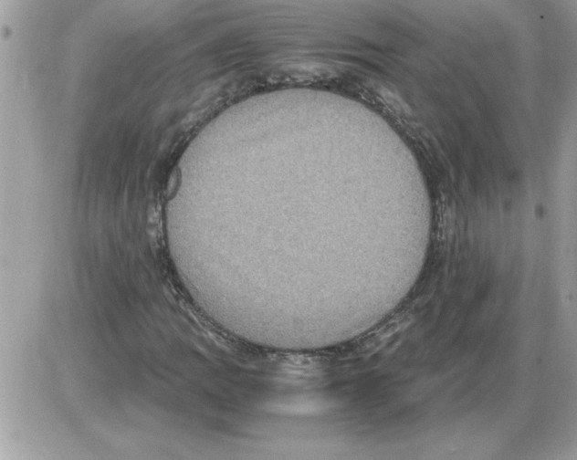 X0000085811109200704131939