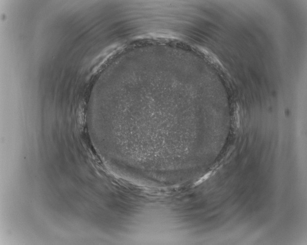 X0000085811110200704131939