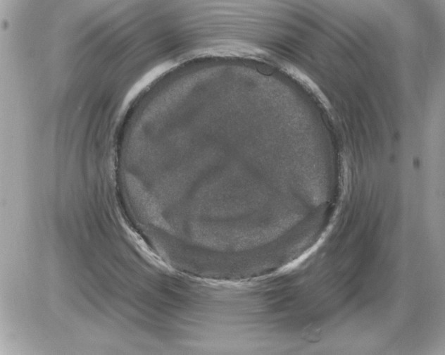 X0000085811114200704131939