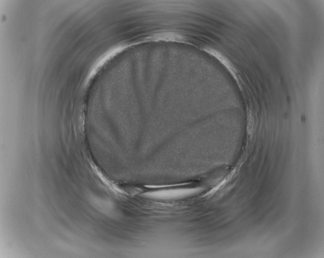 X0000085811115200704131939