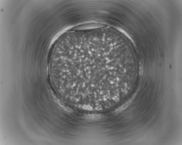 X0000085811117200704131939