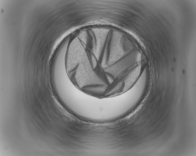 X0000085811118200704131939