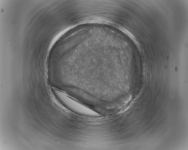 X0000085811120200704131939