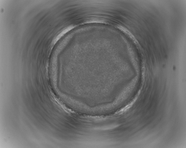 X0000085811121200704131939