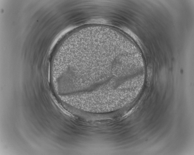 X0000085811123200704131939