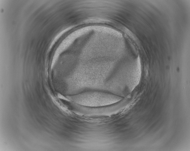 X0000085811124200704131939