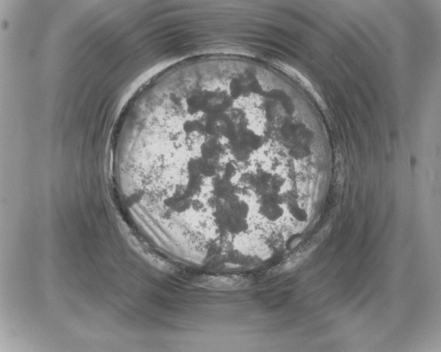 X0000085811125200704131939