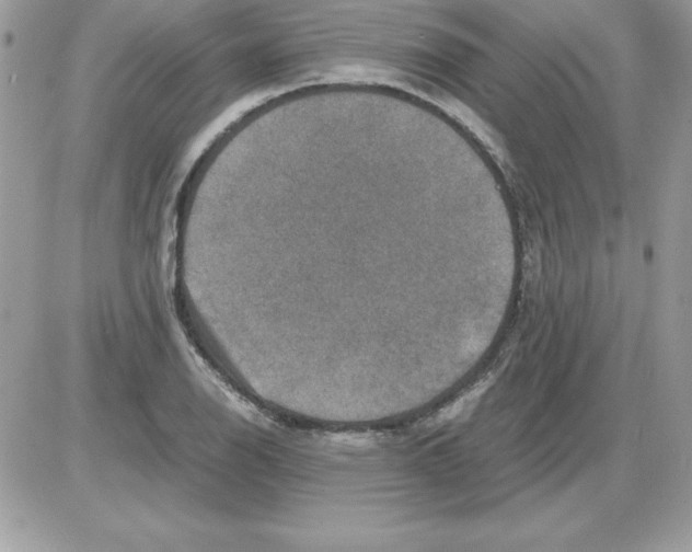 X0000085811126200704131939