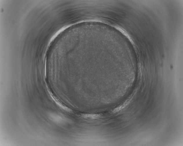 X0000085811127200704131939