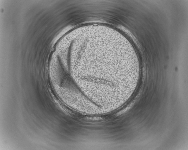 X0000085811129200704131940